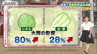 野菜が高騰　白菜、ナス、キュウリ・・・今いくら？(14/08/26)