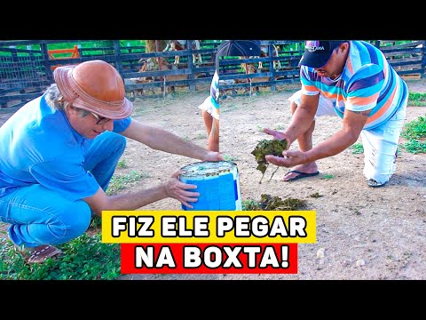 MUÇÃO PEDE AJUDA