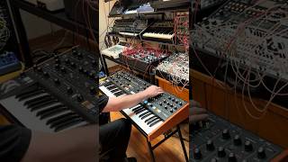 Did you know Muse can do this? ⚡ Video