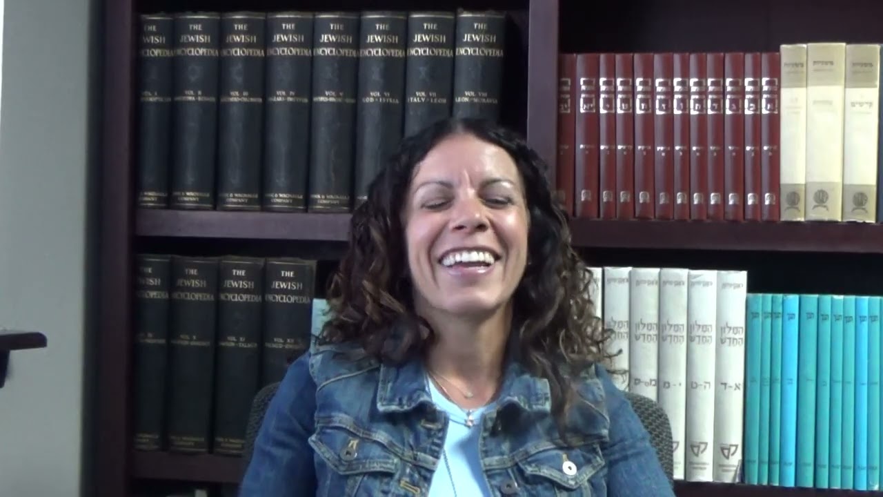 Israel Solidarity Mission Interviews