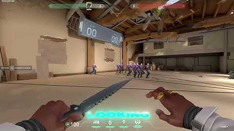 The Fastest Valorant Color TriggerBot (Review)