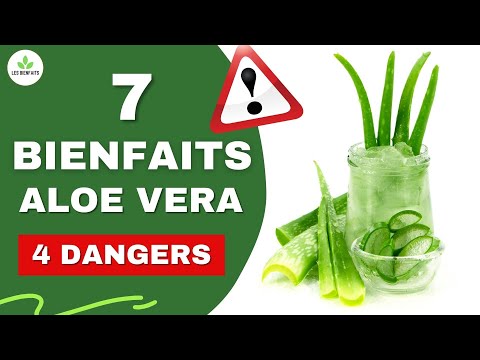 ALOE VERA : SES BIENFAITS ET DANGERS POUR LA SANTÉ (CHEVEUX, PEAU, DIGESTION, ETC)