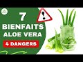 Aloe vera  ses bienfaits et dangers pour la sant cheveux peau digestion etc