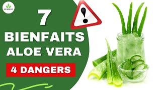 ALOE VERA : SES BIENFAITS ET DANGERS POUR LA SANTÉ (CHEVEUX, PEAU, DIGESTION, ETC)