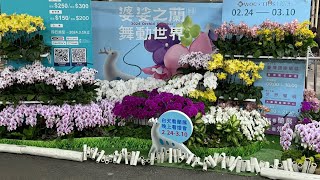 Мир Орхидей. Выставка глазами посетителя. Тайвань 2024 Часть 1 Orchid Show in Taiwan