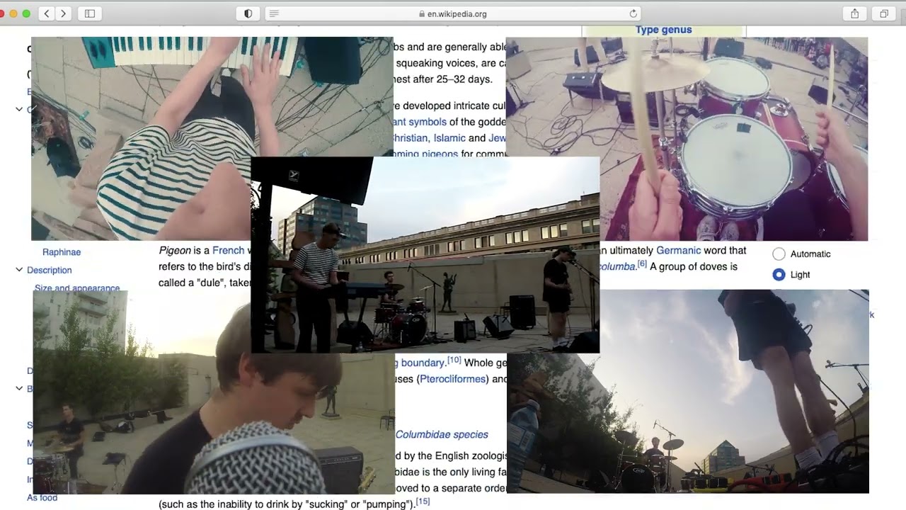 Watch Fencing - Pigeons (live) on YouTube Watch Fencing - Pigeons (live) on YouTube