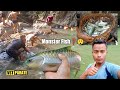 Monster fish catching in vapuol waterfallriver entertain moment  vst parate vlog 