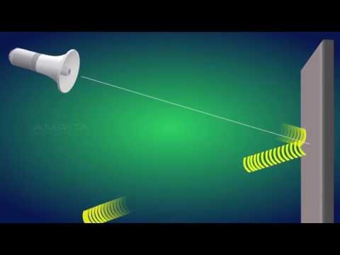 Video: Hvad er lydrefleksion klasse 9?