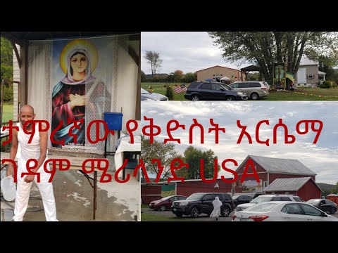 ቪዲዮ: ሜሪላንድ አዲስ ቢል ጋር ቡችላ ወፍጮዎችን ይዋጋል