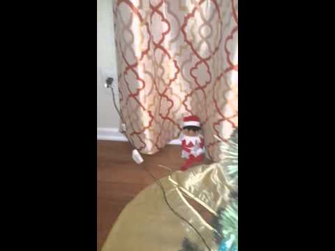 "elf-on-the-shelf"-1st-sighting-reactions!