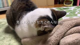 iPhone 12 Pro Max に戸惑う。