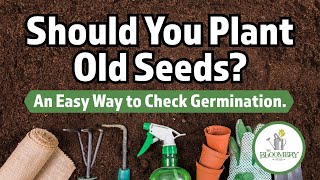 The Bloomery | Should You Plant Old Seeds? ...An Easy Way To Check Germination.