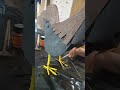 #artist painting a 🐓