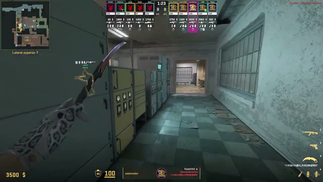 Westmelon | 10-6 | T Ivy on Train (1,38) vs 3DMAX @ IEM Chengdu 2025