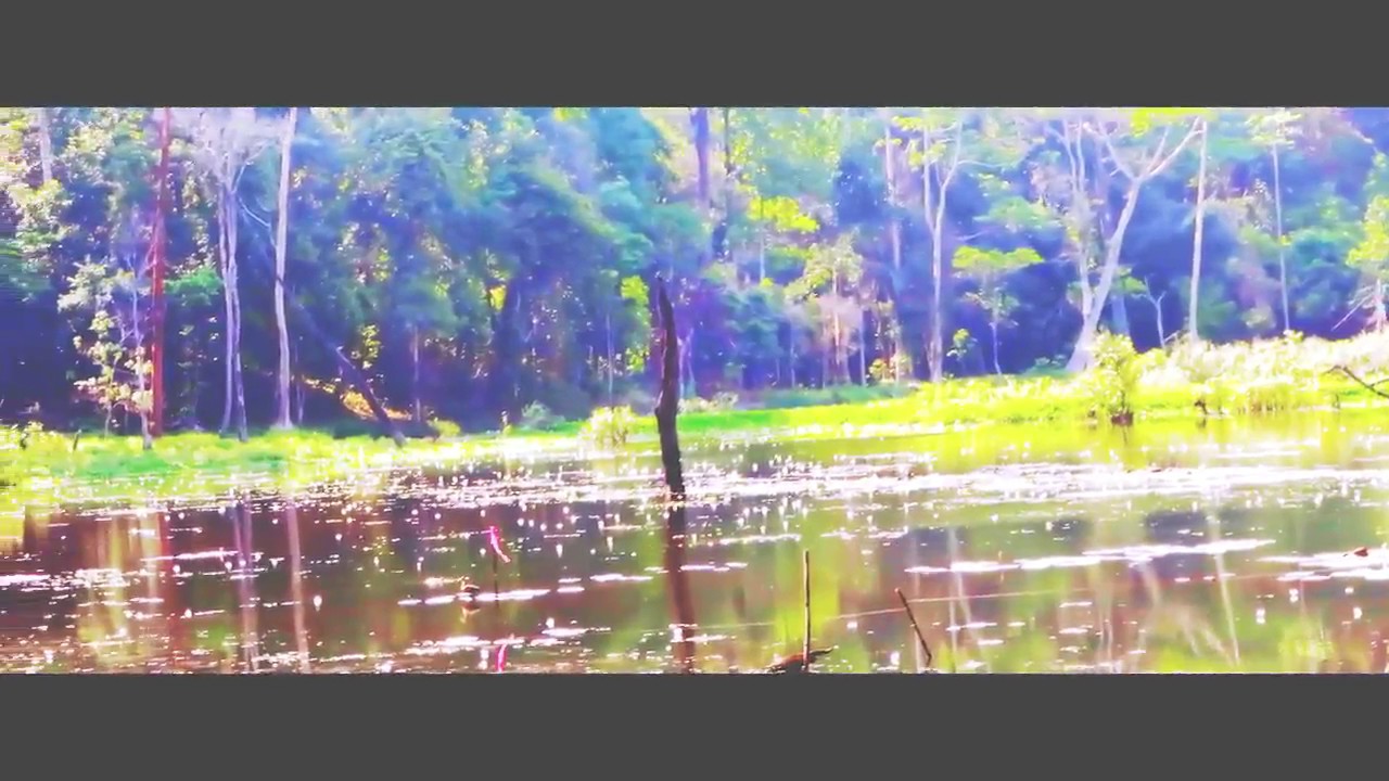 RajaRani || Letang municipality || Morang || promotional video