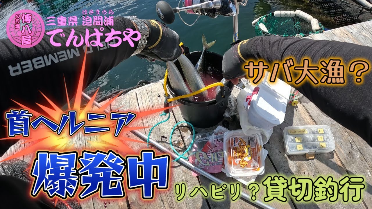 【海上釣堀】 首のヘルニア爆発中！リハビリ釣行で爆釣する！？ 【傳八屋釣行】