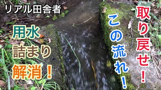 【スッキリ】池からの用水が詰まってました。Japanese traditional work用水の水通し