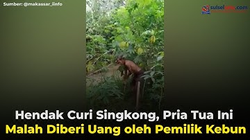 Hendak Curi Singkong, Pria Tua Ini Malah Diberi Uang oleh Pemilik Kebun