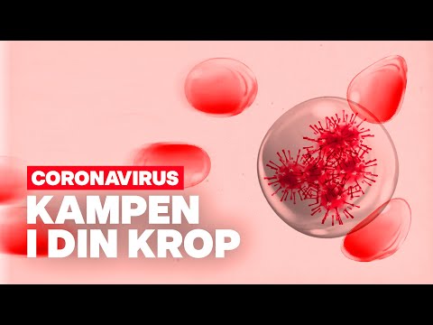 Video: Sådan Karantæner Du En Virus