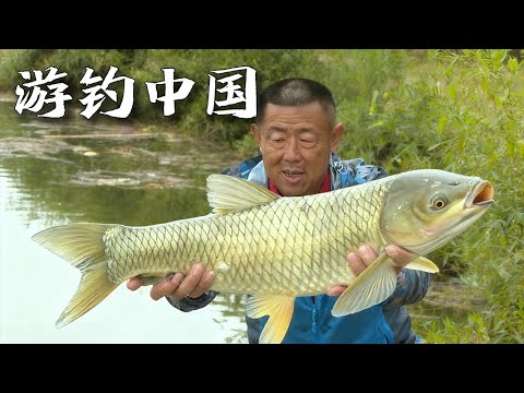 最新！全網最老道的釣魚教程，專業級師傅親自出手，條條都是上百斤的大魚！|《游釣中國》National tourism fishing EP01