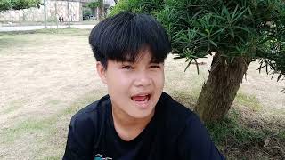 Cuong's mouth gaped when he saw the beautiful la Han pine tree
