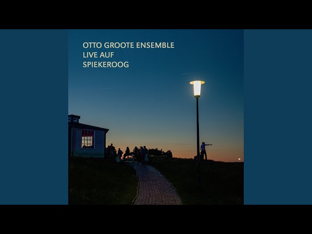 Otto Groote Ensemble - Vogelfeer