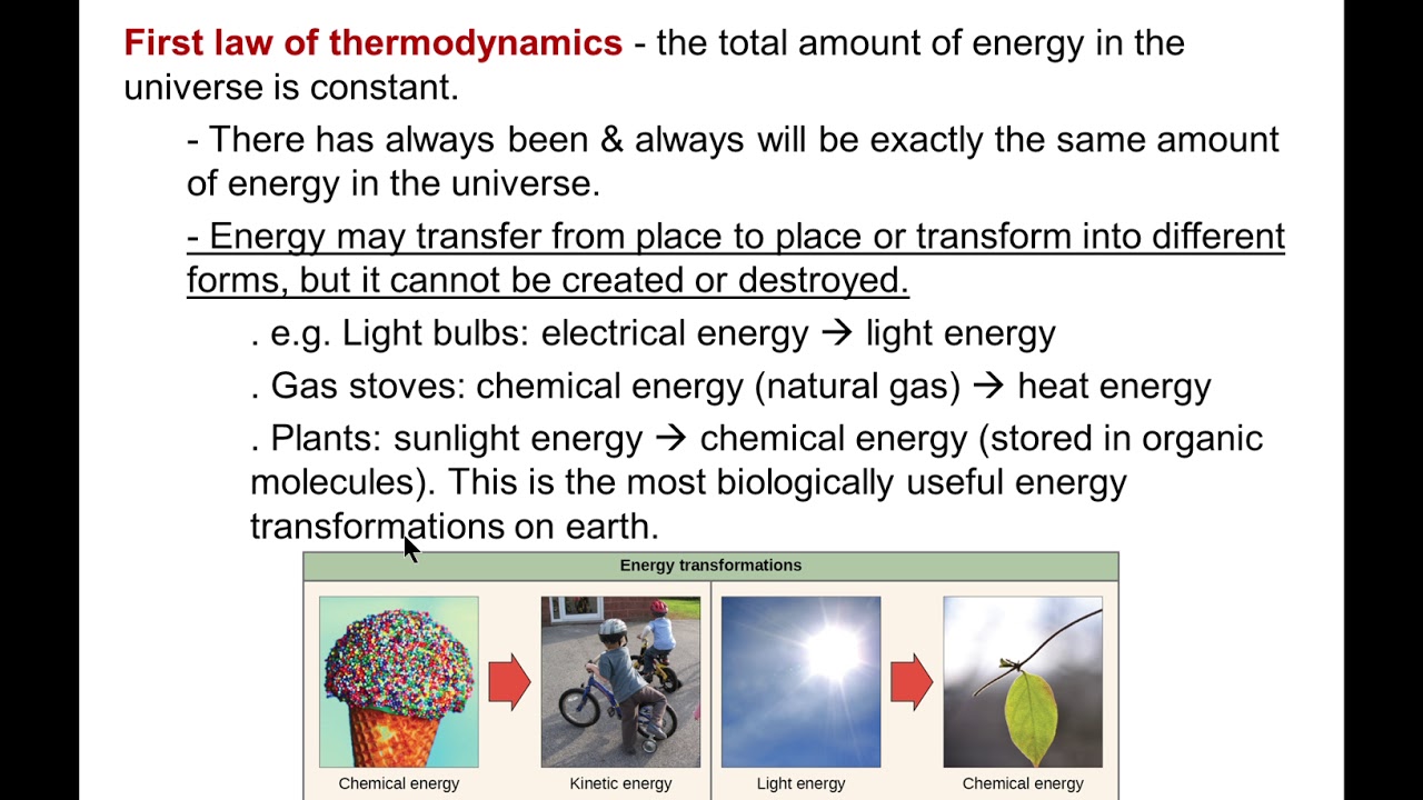 Chapter 6.3 - The Laws of Thermodynamics - YouTube