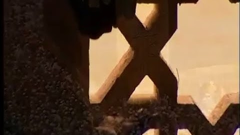 تلاوة لم اجد لها مثيل سورة البينة الشيخ محمود فيصل مؤثر جدا