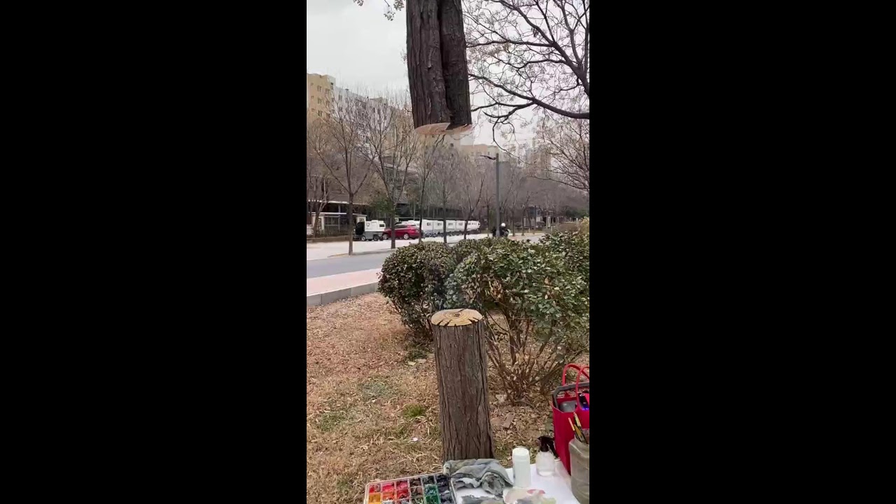 「Handmade Wonders Gallery」直播