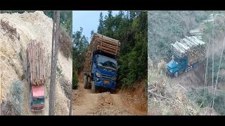 Heavy Machines Dangerous Working Biggest Logging Wood Truck Driving Skill