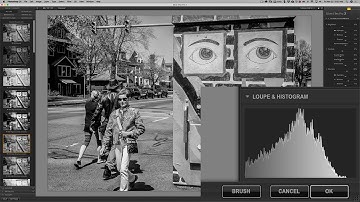 Mastering the Nik Collection - 8: The Brush Button