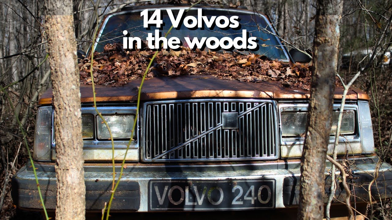 Помыть дезинфекция рук. Мытье тарелки. Окончание s у глаголов в английском языке. Try washes. Try washes.