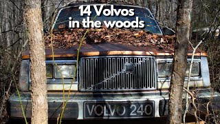 I found 14 Volvos in the woods!