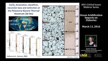 Ocean Acidification Impacts on Fisheries: The geological record of ocean acidification