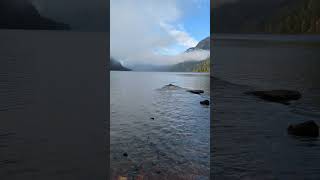 My Nova Scotia Duck Tolling Retriever is excited to swim at Cameron Lake on Vancouver Island, BC.