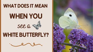 What Does It Mean When You See A White Butterfly (Good Luck, New Beginnings, and More)