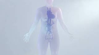 Human Reference Atlas: Define Yourself—The Human Gut Atlas Story