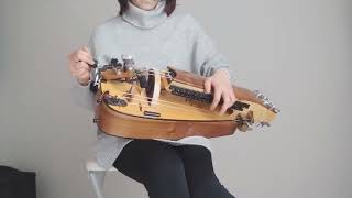 RUADA (Muiñeira) / Zanfona ( Hurdy Gurdy) 