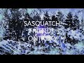 Scarboro sasquatch   ontario bigfoot 6