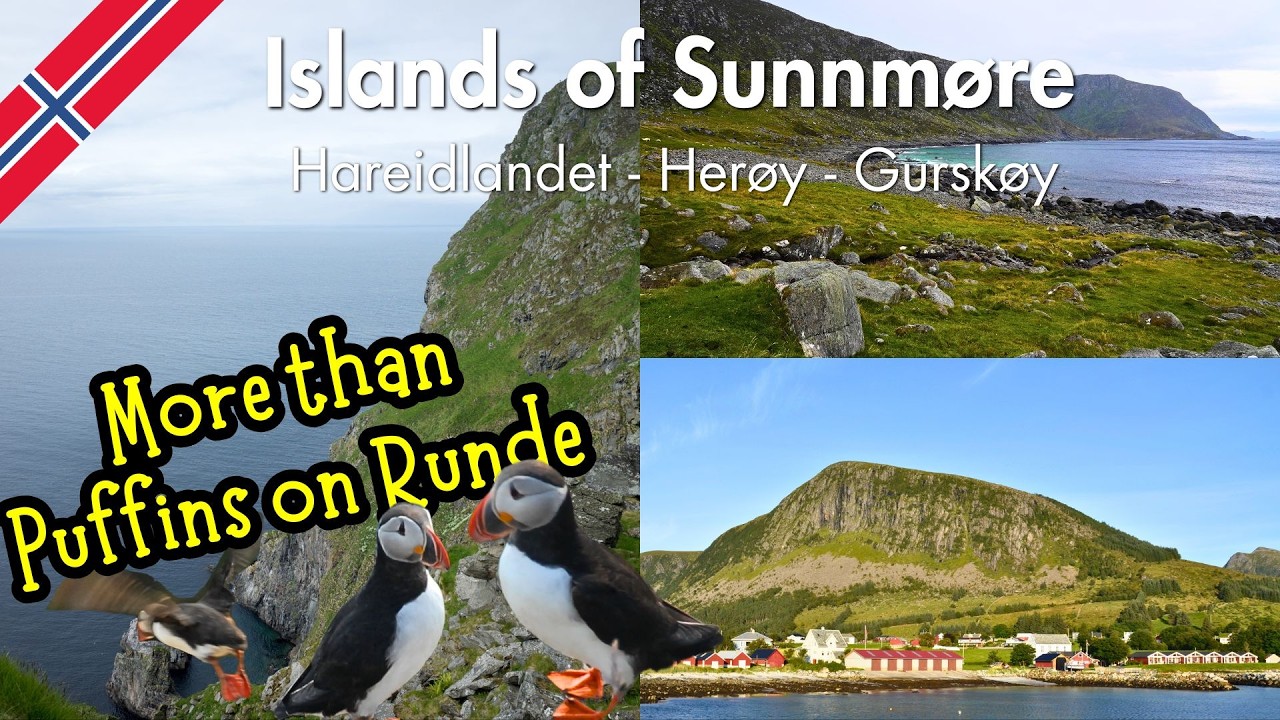 Runde and the Islands of Sunnmøre : More Than Just Puffins! - YouTube