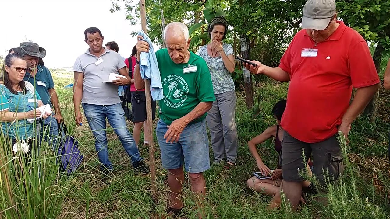 Coleta de Micorrhyzum com Tião