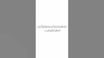 تلاوة في دقيقة الآية ٦٨ من سورة القصص الشيخ #بندر_بليلة