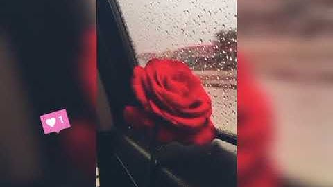 ستوريات انستقرام قرٱن🎧||إسلام صبحي /سورة هود ♥||حالات واتساب دينية قرٱن