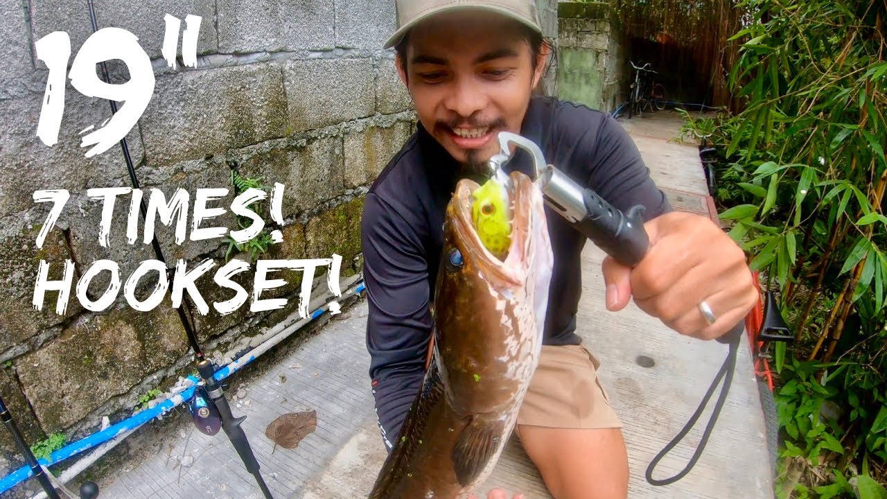 PITONG BESES KO HINOOKSET | SNAKEHEAD URBAN FISHING | Y3E4