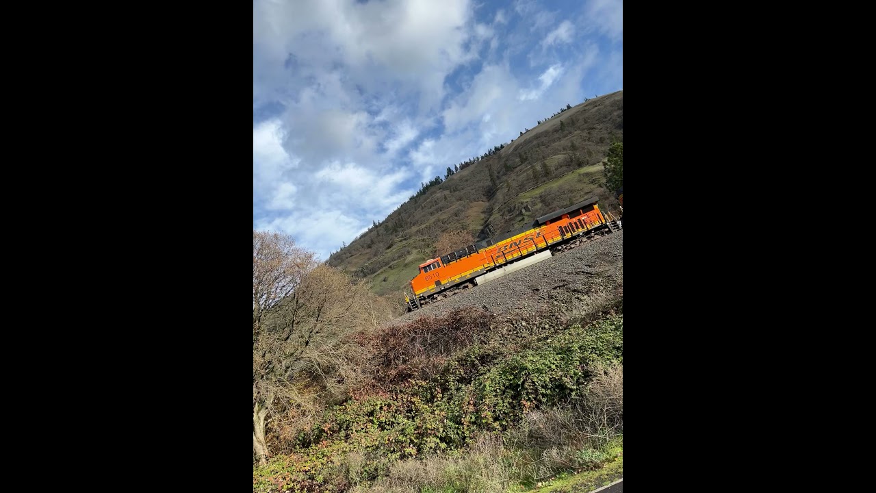 This is why I love Pacific Northwest