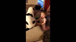 Cat hits girl on head repeatedly