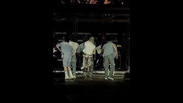 They ATE and Felix..AHH- #straykids #lollapalooza #shorts #viralshorts #viral #leefelix