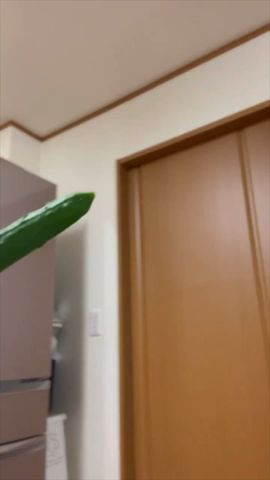 孤独のグルメの至高の冷やし中華を再現してみた#shorts