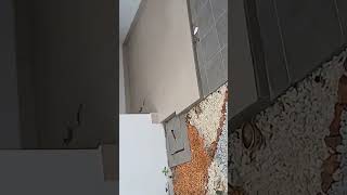 Cocody Riviéra palmeraie résidentielle Plusieurs appartement 0556411152