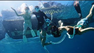 新島 桶庄 SSI スキンダイビング スクール - YouTube